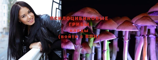 ПСИЛОЦИБИНОВЫЕ ГРИБЫ Баксан