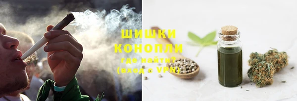 ПСИЛОЦИБИНОВЫЕ ГРИБЫ Баксан