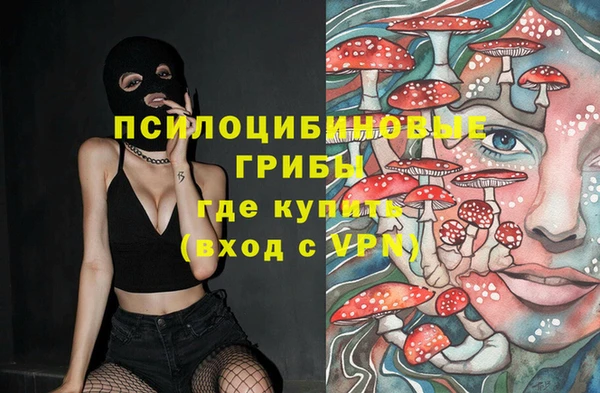 СК Балахна