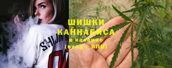 ПСИЛОЦИБИНОВЫЕ ГРИБЫ Баксан